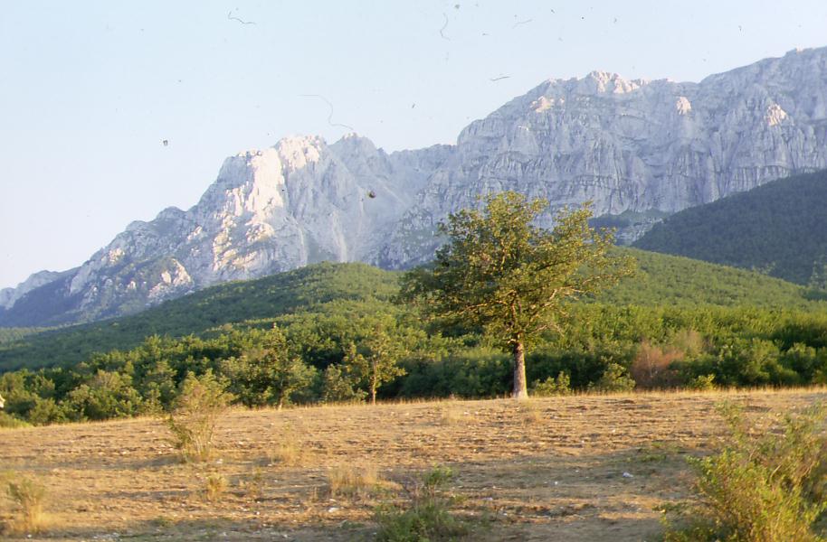 Dal  panorama sirentino a Sirente